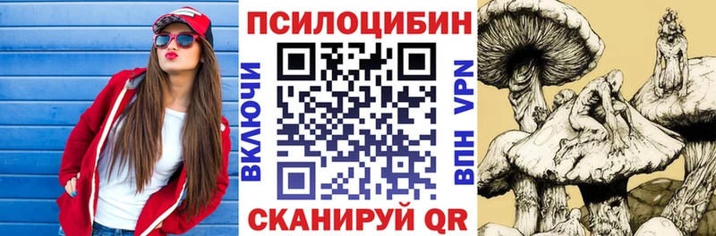 магазин продажи наркотиков  Верхотурье  Галлюциногенные грибы GOLDEN TEACHER 